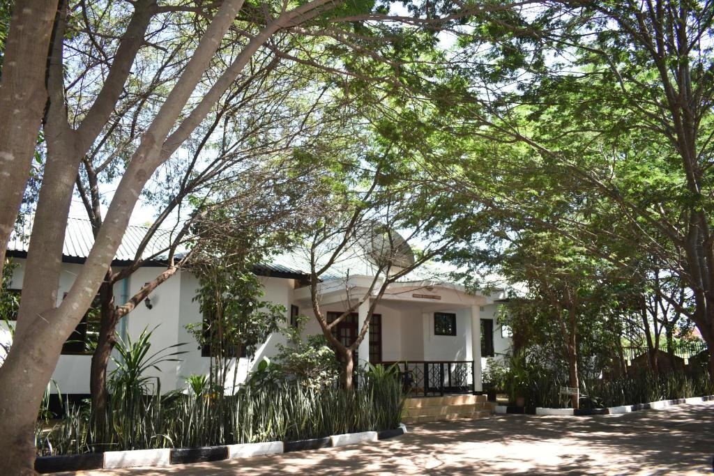 Lodge Gallery Image 51