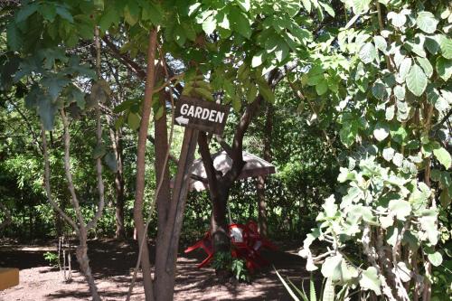 Lodge Gallery Image 93