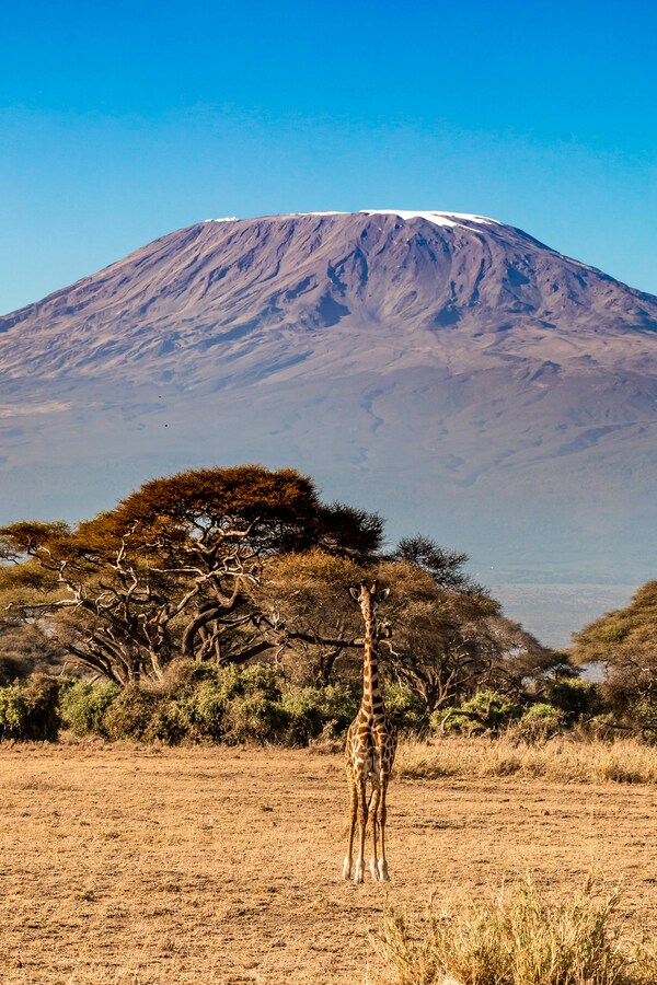 Mount Kilimanjaro: Africa’s Majestic Peak and Ultimate Adventure